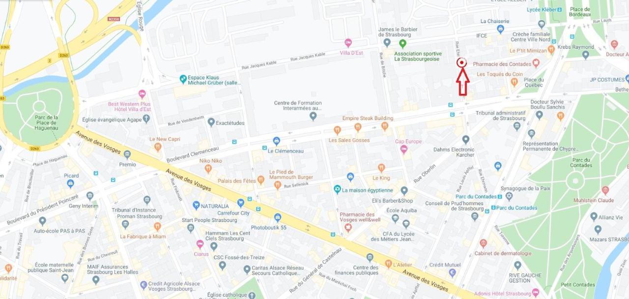Appartamento Le 22 Ehrmann Strasburgo Esterno foto
